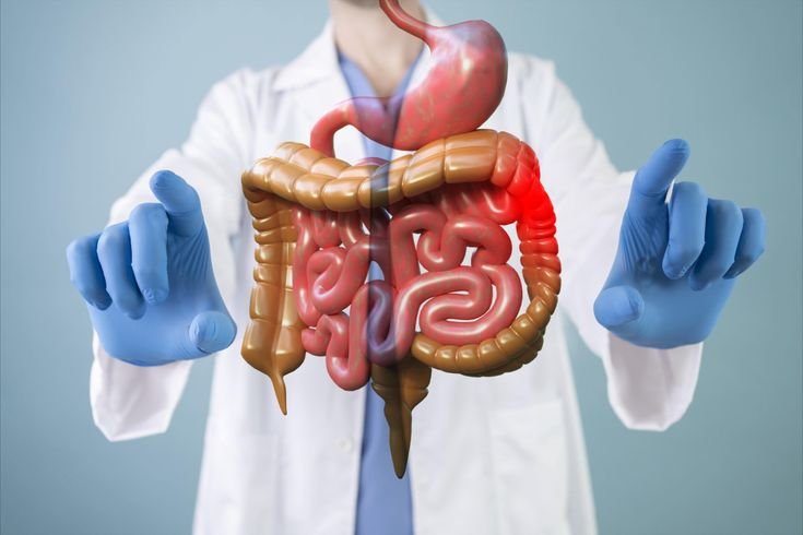 Best gastro hospital