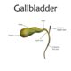Gall Bladder Disorders: Types, Symptoms, and Treatment Options